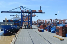 TLC brindan resultados positivos de exportaciones en medio de COVID-19