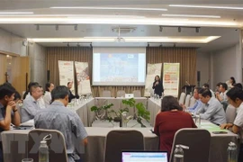 Provincia vietnamita por convertirse en destino amigable con elefantes