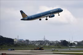 Piden aclarar información sobre interrogación de azafatas de Vietnam Airlines en Australia