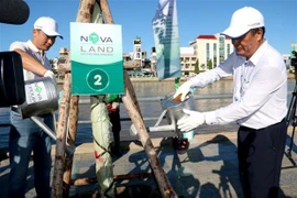 Campaña de plantación de árboles en provincia vietnamita para proteger medio ambiente