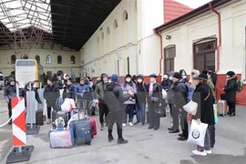 Ciudadanos vietnamitas en vuelos de repatriación de Ucrania no necesitan someterse a prueba del COVID-19