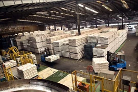Provincia vietnamita obtiene superávit comercial de más de seis mil millones de dólares 