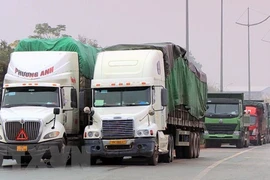 Provincia de Quang Ninh registra aumento leve en exportaciones