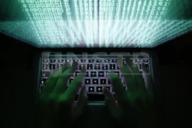 Detectan en Vietnam más 450 dominios infractores en Internet