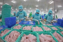 Perspectivas para aumentar las exportaciones vietnamitas de pescado Tra