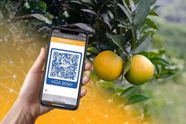 Conectarán 7,5 millones de hogares agrícolas vietnamitas a comercio electrónico