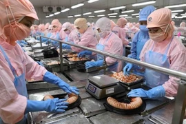 Vietnam y Alemania disponen de potencial de cooperación 