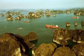 Resalta UNESCO cooperación con Vietnam como ejemplo eficaz