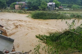 Vietnam intensifica gestión del riesgo de desastres naturales