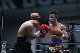 Tran Van Thao contribuye a mostrar el boxeo vietnamita al mundo
