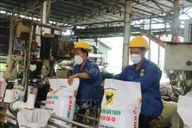 Exportaciones de fertilizantes de Vietnam registran nuevo récord