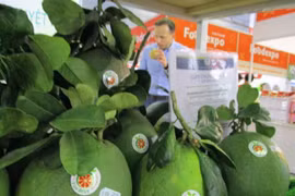 Vietnam posee potenciales para exportación de sus frutas a Estados Unidos