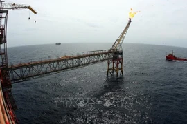 Modifican por completo Ley de Petróleo en Vietnam en la nueva situación