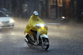 Regiones del Norte y Centro de Vietnam permanecen bajo lluvias intensas
