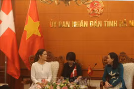 Provincia vietnamita espera intensificar cooperación con Dinamarca en producción verde