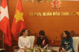 Provincia vietnamita espera intensificar cooperación con Dinamarca en producción verde