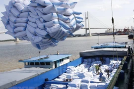 Vietnam exporta más de seis millones de toneladas de arroz en 10 meses