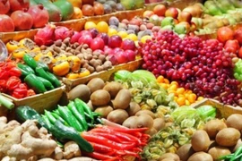 Vietnam tiene potencialidades de promover ventas de verduras a UE