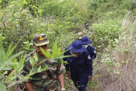 Provincia vietnamita se esmera en repatriar restos de soldados voluntarios caídos en Camboya