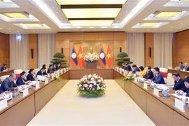Profundizan cooperación entre órganos legislativos de Vietnam y Laos