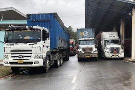Aumentan actividades de comercio internacional a través de puertas fronterizas en provincia vietnamita