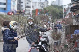 Otra ola de frío intenso afecta el Norte y Centro de Vietnam