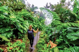 Localidades vietnamitas aceleran transformación digital en el turismo