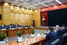 Vietnam y México buscan cooperación en industrias fundamentales 
