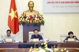 Hanoi realiza práctica del ahorro y lucha contra el despilfarro