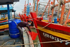 Pescadores vietnamitas participan en trabajo de protección ambiental