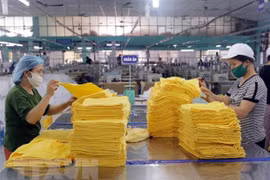 Miles de empresas en Ciudad Ho Chi Minh reanudan actividades