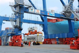 Terminal internacional de contenedores Tan Cang Hai Phong despacha un millón de TEU 