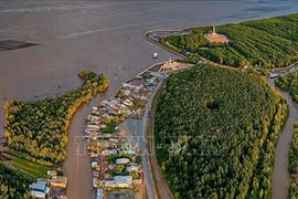 Delta del Mekong de Vietnam será zona con alto riesgo de inundación