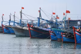 Apoyan a empresas vietnamitas en combate contra la pesca ilegal