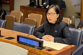 Vietnam resalta ante ONU importancia de descolonización