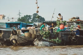 Lanzan proyecto para reducir residuos en el Río Mekong de Vietnam