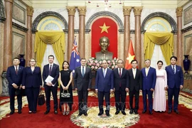 Presidente vietnamita recibe a embajadores de Países Bajos, Hungría, Australia y Luxemburgo