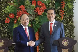 Vietnam e Indonesia aspiran a valor comercial de 15 mil millones de USD antes de 2028