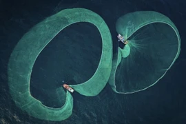 Fotógrafo vietnamita gana el premio sobre conservación marina 2022