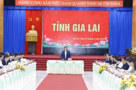 Premier insta a promover desarrollo de provincia altiplana vietnamita de Gia Lai 