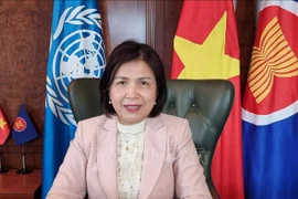 Participa Vietnam en actividades sobre igualdad de género