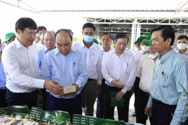 Presidente realiza visita de trabajo a la provincia deltaica de Dong Thap