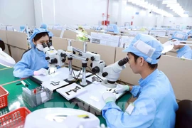 Producción industrial de Vietnam crece 2,4 por ciento en enero