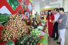 Buscan promover consumo de lichi de Bac Giang en Vietnam y el extranjero