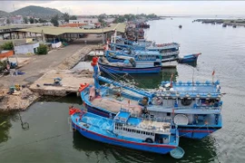 Vietnam por proteger recursos y estabilizar medios de vida de pescadores