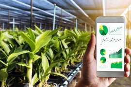 Transformación digital, tendencia inevitable para agricultura de Vietnam