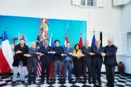Chile siempre otorga gran importancia al creciente rol y posición de ASEAN, afirma vicecanciller