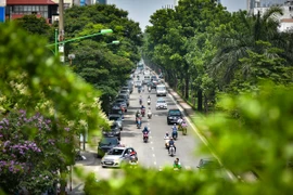 Hanoi por aumentar cobertura de árboles en zonas urbanas