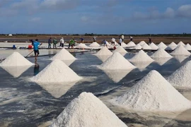 Provincia vietnamita de Bac Lieu creará 94 mil puestos de trabajo para 2025