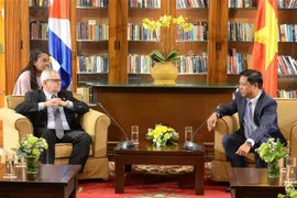 Ciudad vietnamita de Da Nang fomenta vínculos con localidades cubanas